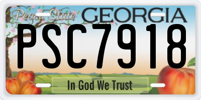 GA license plate PSC7918