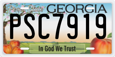GA license plate PSC7919