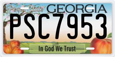GA license plate PSC7953