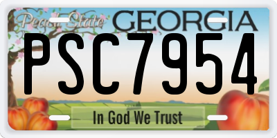 GA license plate PSC7954