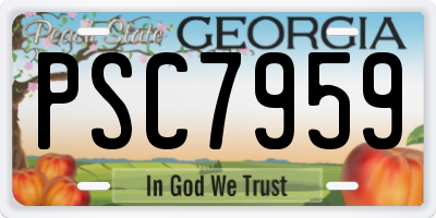 GA license plate PSC7959