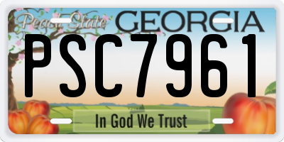 GA license plate PSC7961