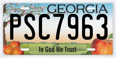 GA license plate PSC7963