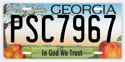 GA license plate PSC7967