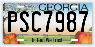 GA license plate PSC7987