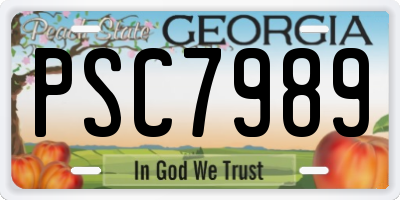 GA license plate PSC7989