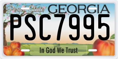 GA license plate PSC7995