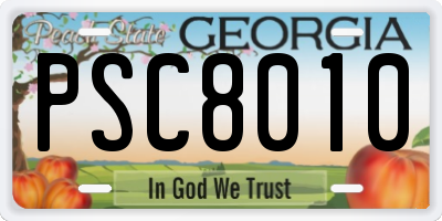 GA license plate PSC8010