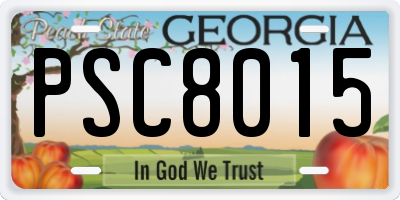 GA license plate PSC8015