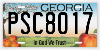 GA license plate PSC8017