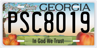 GA license plate PSC8019