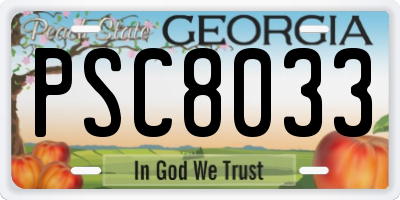 GA license plate PSC8033