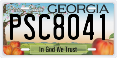 GA license plate PSC8041