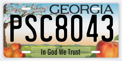 GA license plate PSC8043