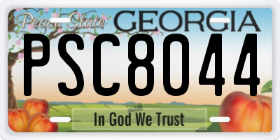 GA license plate PSC8044