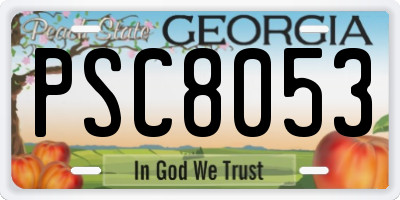 GA license plate PSC8053
