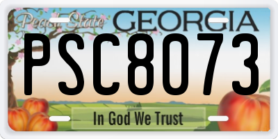 GA license plate PSC8073