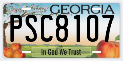 GA license plate PSC8107