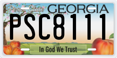 GA license plate PSC8111