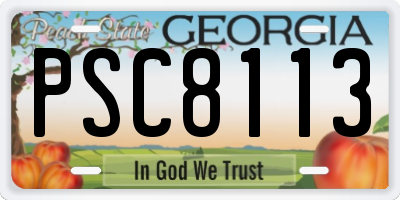 GA license plate PSC8113