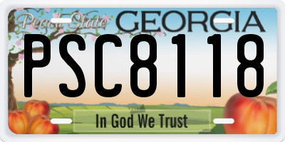 GA license plate PSC8118