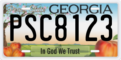GA license plate PSC8123
