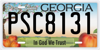 GA license plate PSC8131