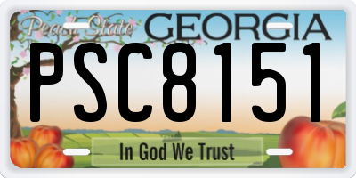 GA license plate PSC8151