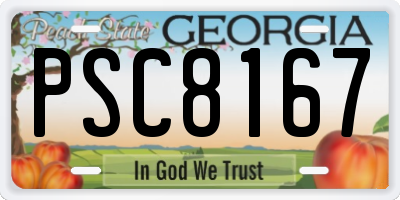 GA license plate PSC8167