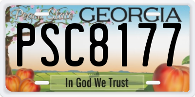 GA license plate PSC8177
