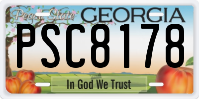 GA license plate PSC8178