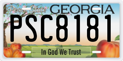 GA license plate PSC8181
