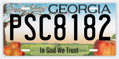 GA license plate PSC8182