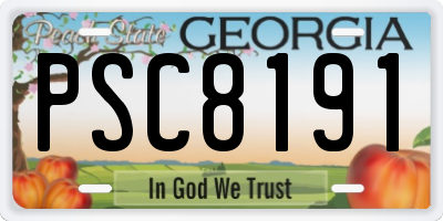 GA license plate PSC8191