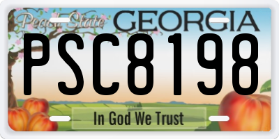 GA license plate PSC8198