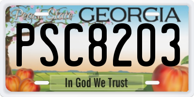 GA license plate PSC8203