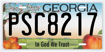 GA license plate PSC8217