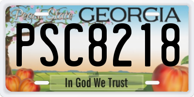 GA license plate PSC8218