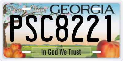 GA license plate PSC8221