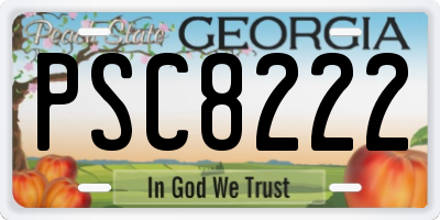 GA license plate PSC8222