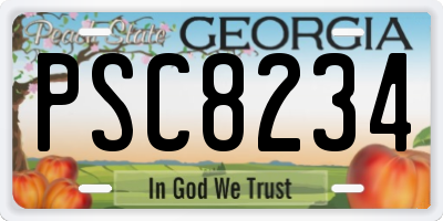 GA license plate PSC8234