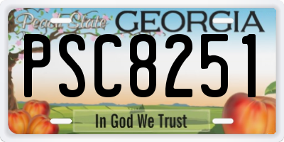 GA license plate PSC8251