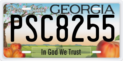 GA license plate PSC8255