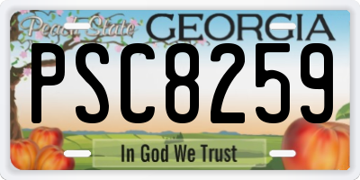GA license plate PSC8259