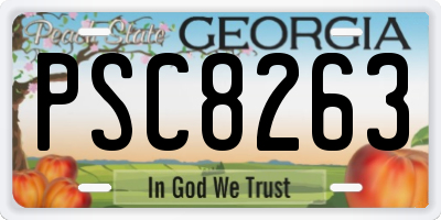 GA license plate PSC8263