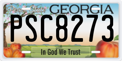 GA license plate PSC8273