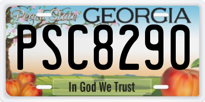 GA license plate PSC8290