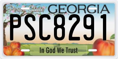 GA license plate PSC8291