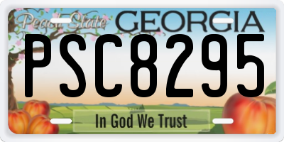 GA license plate PSC8295
