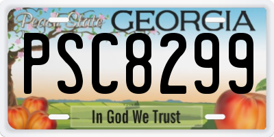 GA license plate PSC8299